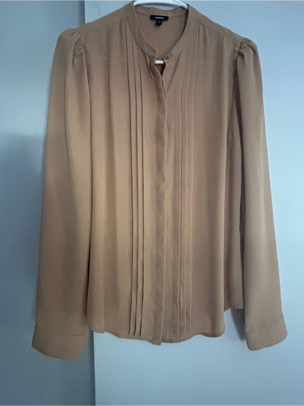 Express Camel Pintuck Long-Sleeve Blouse